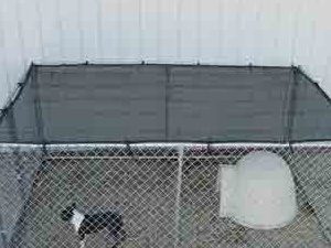 i 8 x 12 green mesh shade screen