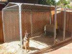 a Kennel Cover 5 x 12 St/hy 4 truss