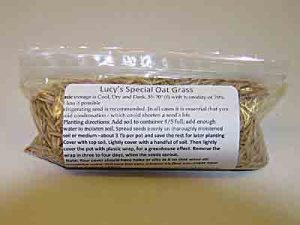 Lucy's Special BUCK Oat Seed 6oz.